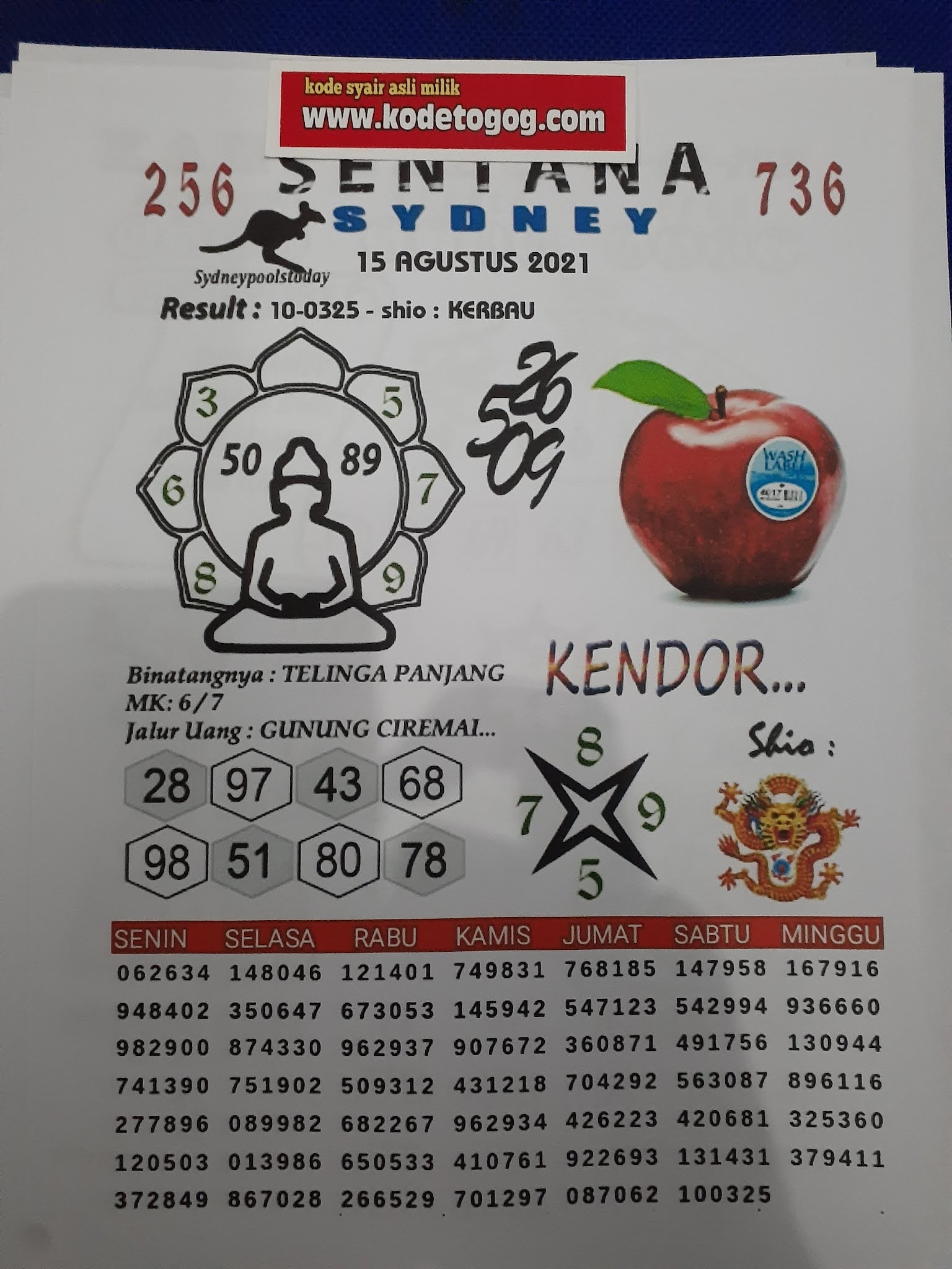 Kode syair togog sydney minggu 15 agustus 2021 KODE