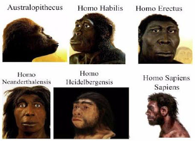 Origen del ser humano