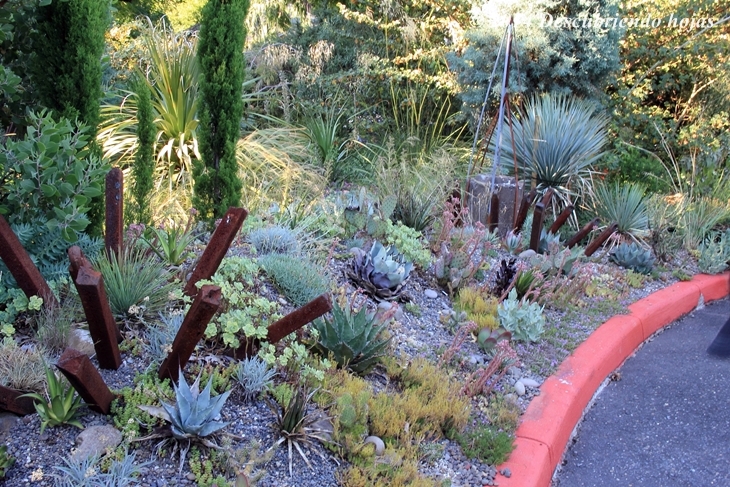 Descubriendo hojas: Los jardines de McMenamins Kennedy School #gbfling14