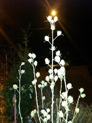 LUNEA FLORILOR