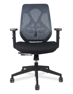 Roswell Task Chair