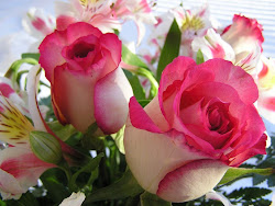 roses desktop wallpapers rose flower flowers pink saturday october