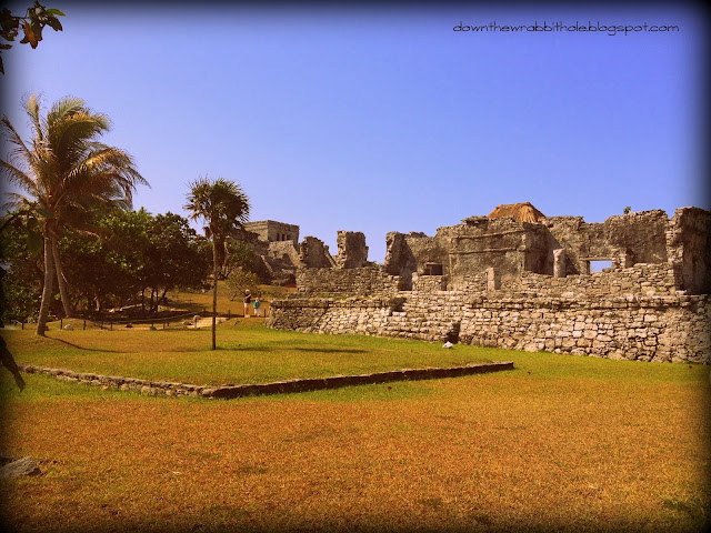 Tulum Akumal, Tulum Mexico, things to do in Akumal