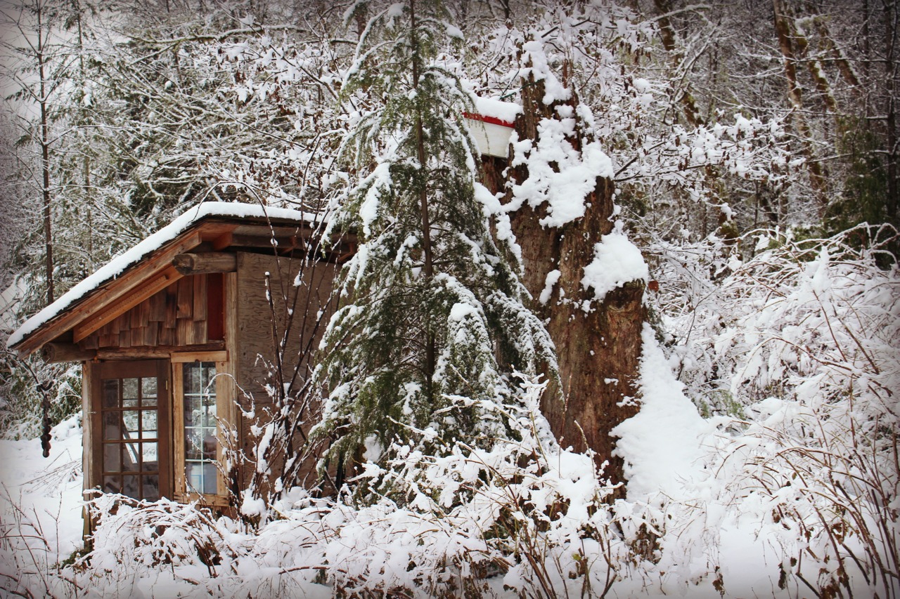 Marblemount Homestead