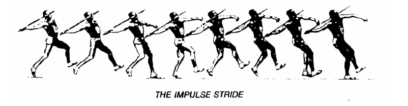 Biomechanics of a Javelin Throw: Biomechanics of a Javelin Throw: