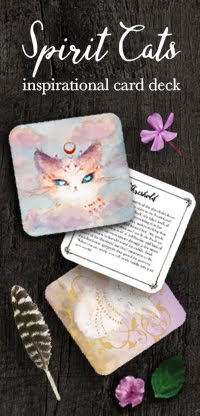Inspirational Cat Cards