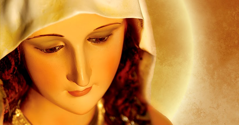 Lazos de Fe: Flor de Paciencia