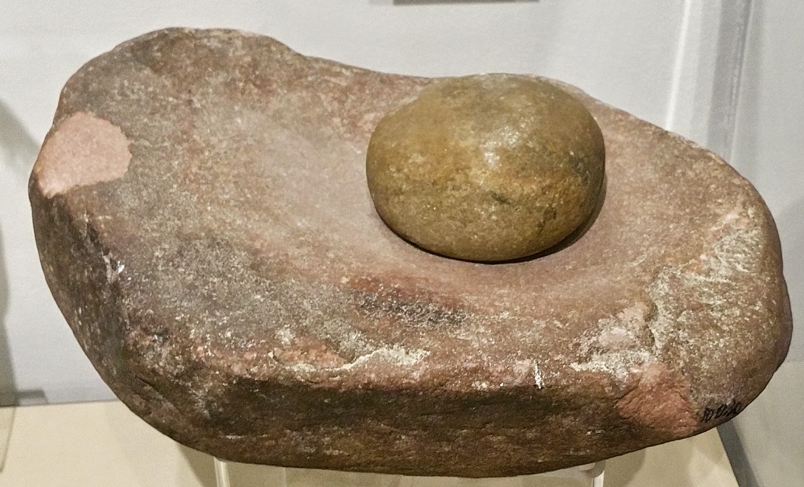 History and Culture by Bicycle Native American Artwork Featuring Chuck Raymond American Indian