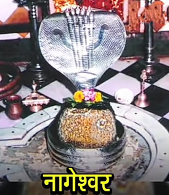 Story of Nageshwar Jyotirlinga