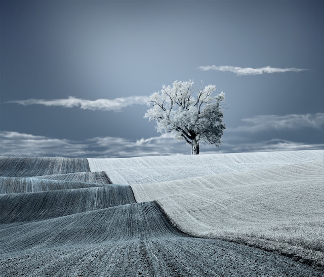 Surreal . Fine Art . Conceptual Photography/ Arts: fantastic landscape