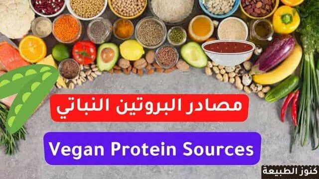 مصادر البروتين النباتي ,البروتين النباتي ,ما هو البروتين النباتي