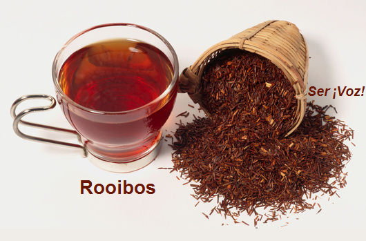 Cha Rooibos Ser ¡Voz!: Chá de Rooibos
