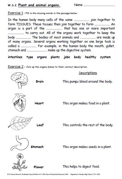 Free Printable English Worksheets For Key Stage 3