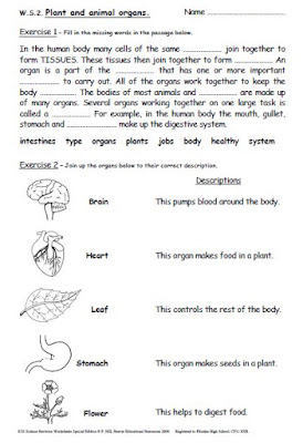 Iman's Home-School: Key Stage 3 Science Revision Worksheets (Years 7-9)