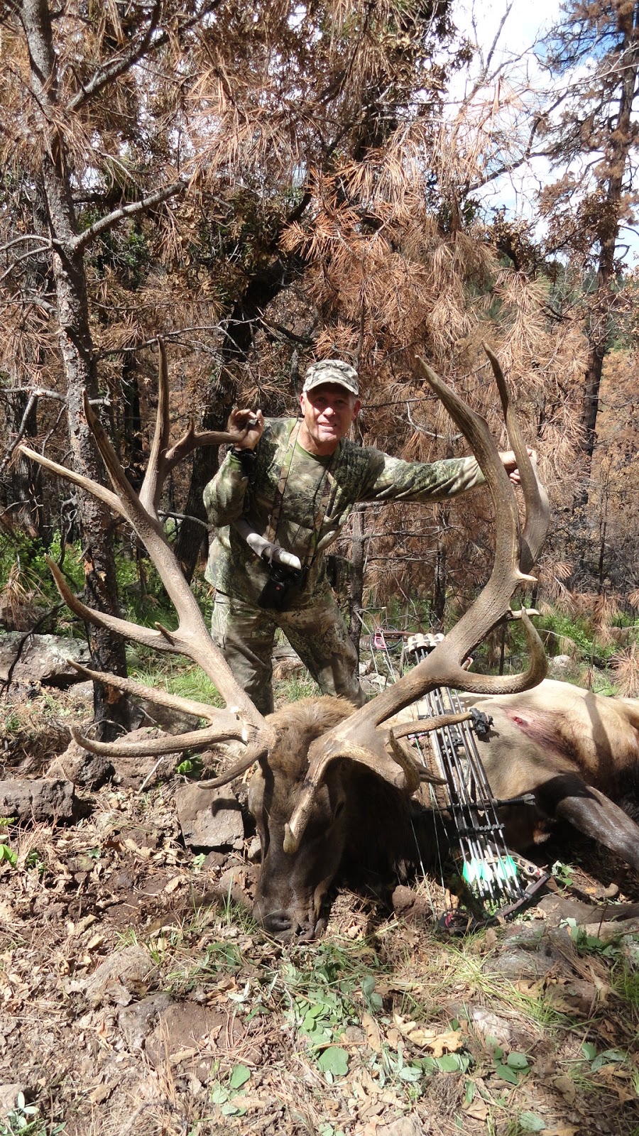 Jay Scott Outdoors: Casey Brooks 447 2013 Elk