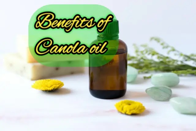 Canola oil benefits for health, skin and hair benefits of canola