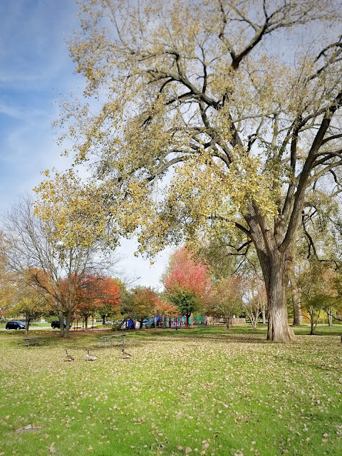 riverwalk park riverwalk park
