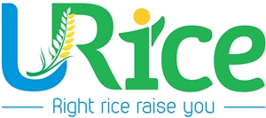 Nice Rice Inside