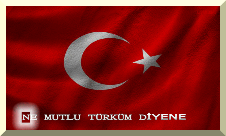 Turkey world