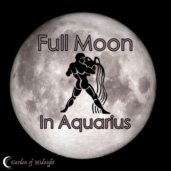 Garden Of Midnight 27th Of July Full Moon In Aquarius garden-of-midnight-27th-of-july-full-moon-in-aquarius
