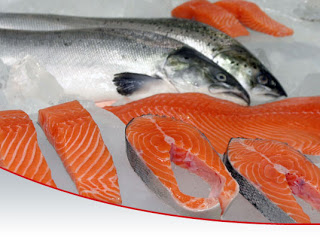 kandungan gizi ikan salmon