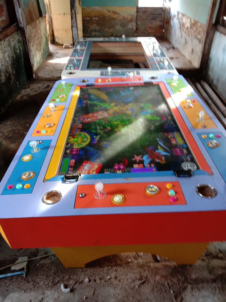 Insaniquarium Untuk Windows Unduh