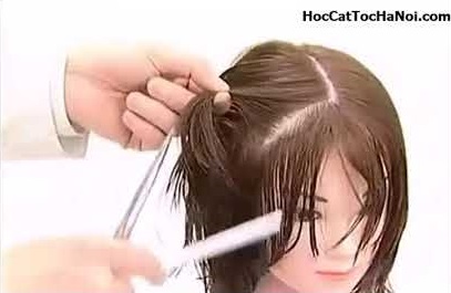 Video Học Cắt Tóc cơ bản Cắt Tầng Lớp, Basic Haircut Layer