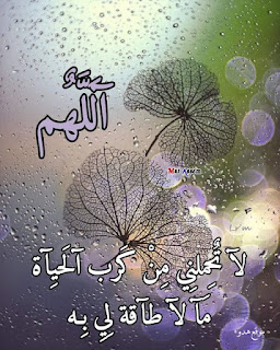 صور جميلة, صور جميلة للفيس بوك, صور فيسبوك, صور