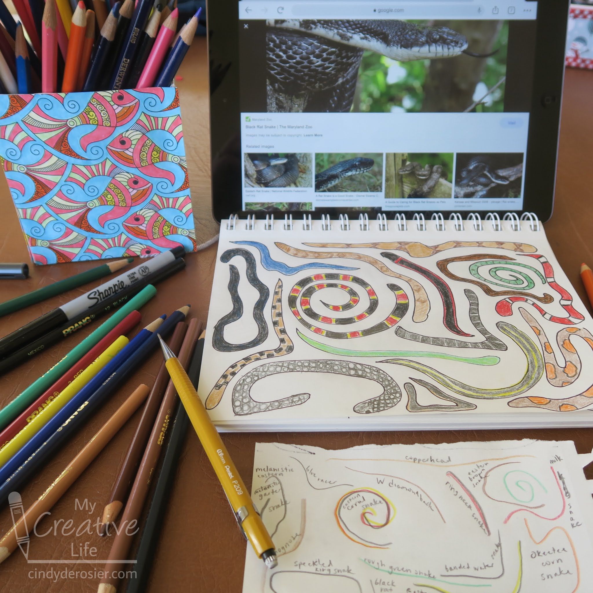 Cindy deRosier: My Creative Life: Snake Doodle