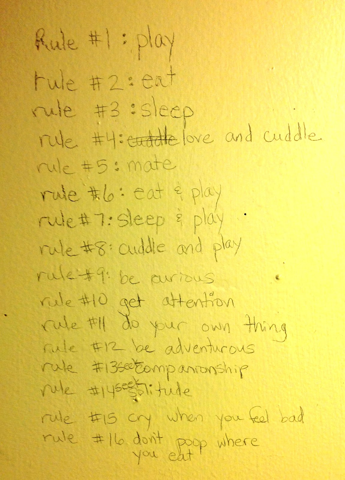 Laura Lee Strand Cat Rules, Cats Rule