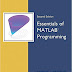 Essentials of MATLAB Programming Paperback – Import, 7 Nov 2008 by Stephen J Chapman  (Author