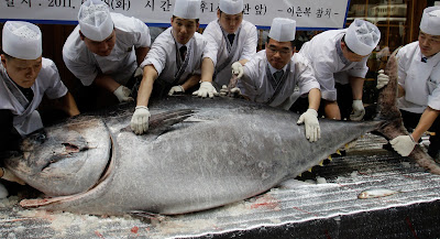 SAINS | Petua Mudah Panjangkan Umur dengan diet ikan