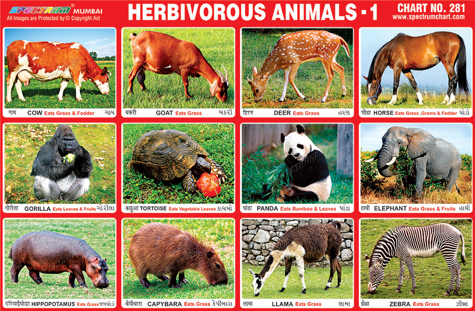 Spectrum Educational Charts: Chart 281 - Herbivorous Animals 1