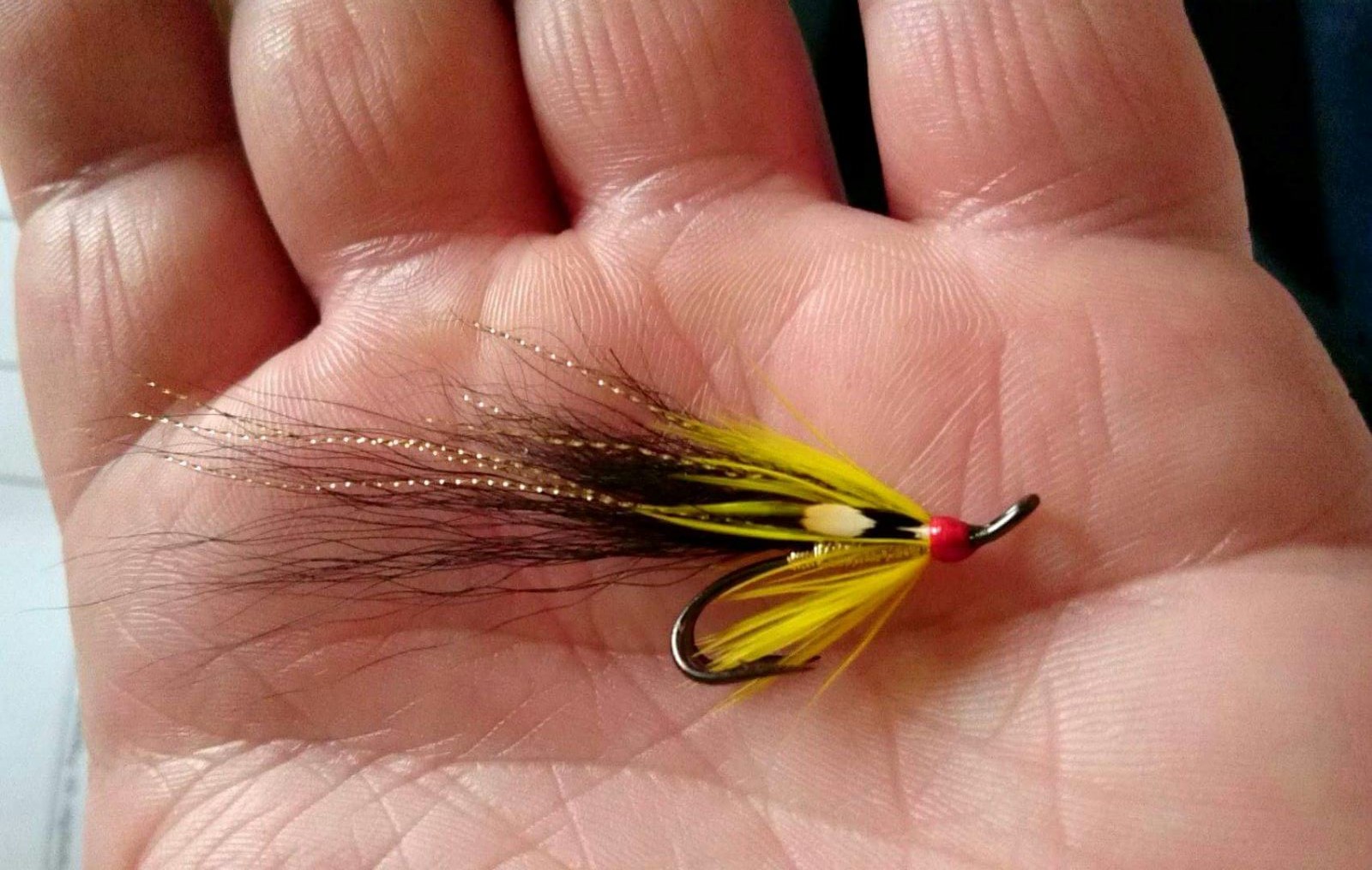 Salmon Fly Gledswood Shrimp Salmon Fly Tay Salmon Fly
