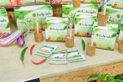 Dimo Launches Footprints – Home Gardening Made Fun For You And Your Kids