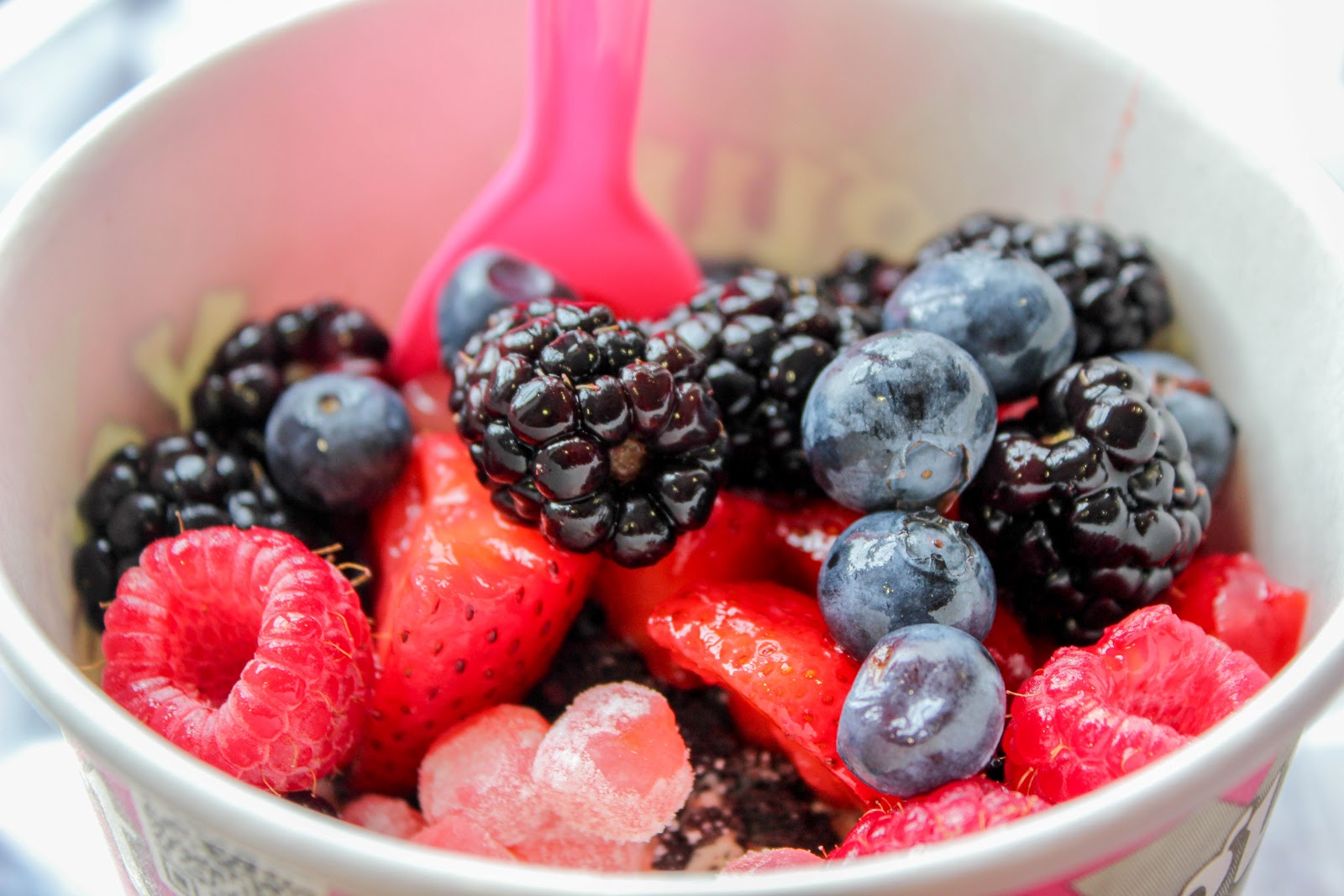 Life of a PipsqueakPion33r Yogurt Extreme