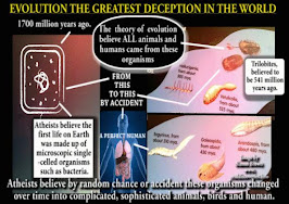 One simple reason why evolution is false! By Simon Brown.