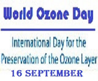 ozone depletion essay