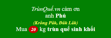 Trùn quế Krông Păk