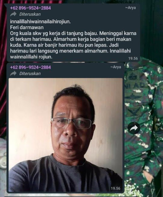 Ulasan lengkap penangkapan Eka dan Tora di sekitar wilayah Sinka Zoo Singkawang Ulasan lengkap penangkapan Eka dan Tora di sekitar wilayah Sinka Zoo Singkawang
