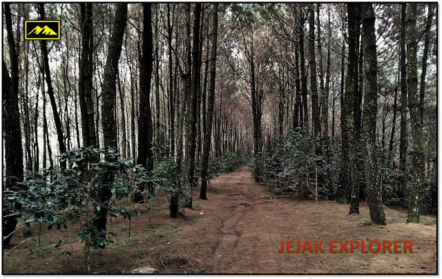 Wisata Alam Bukit Senyum