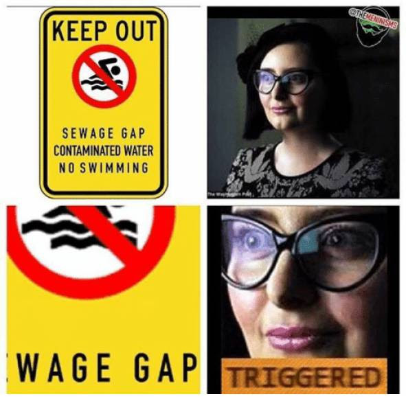 15 Of The Best "Triggered" Memes (16 pics). Part 2