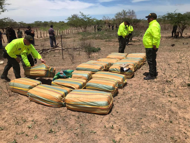Dos caletas de marihuana de 'Los Pachencas' encontró la Policía en Maicao hoyennoticia.com, Dos caletas de marihuana de 'Los Pachencas' encontró la Policía en Maicao