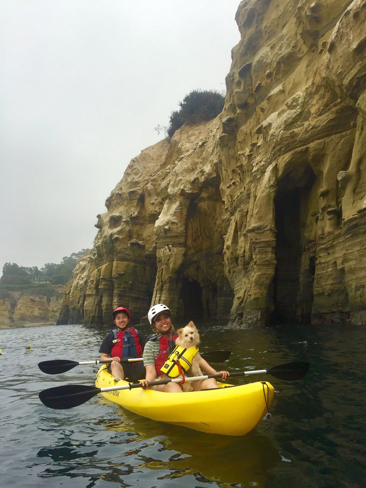 La Jolla Sea Cave Kayaks