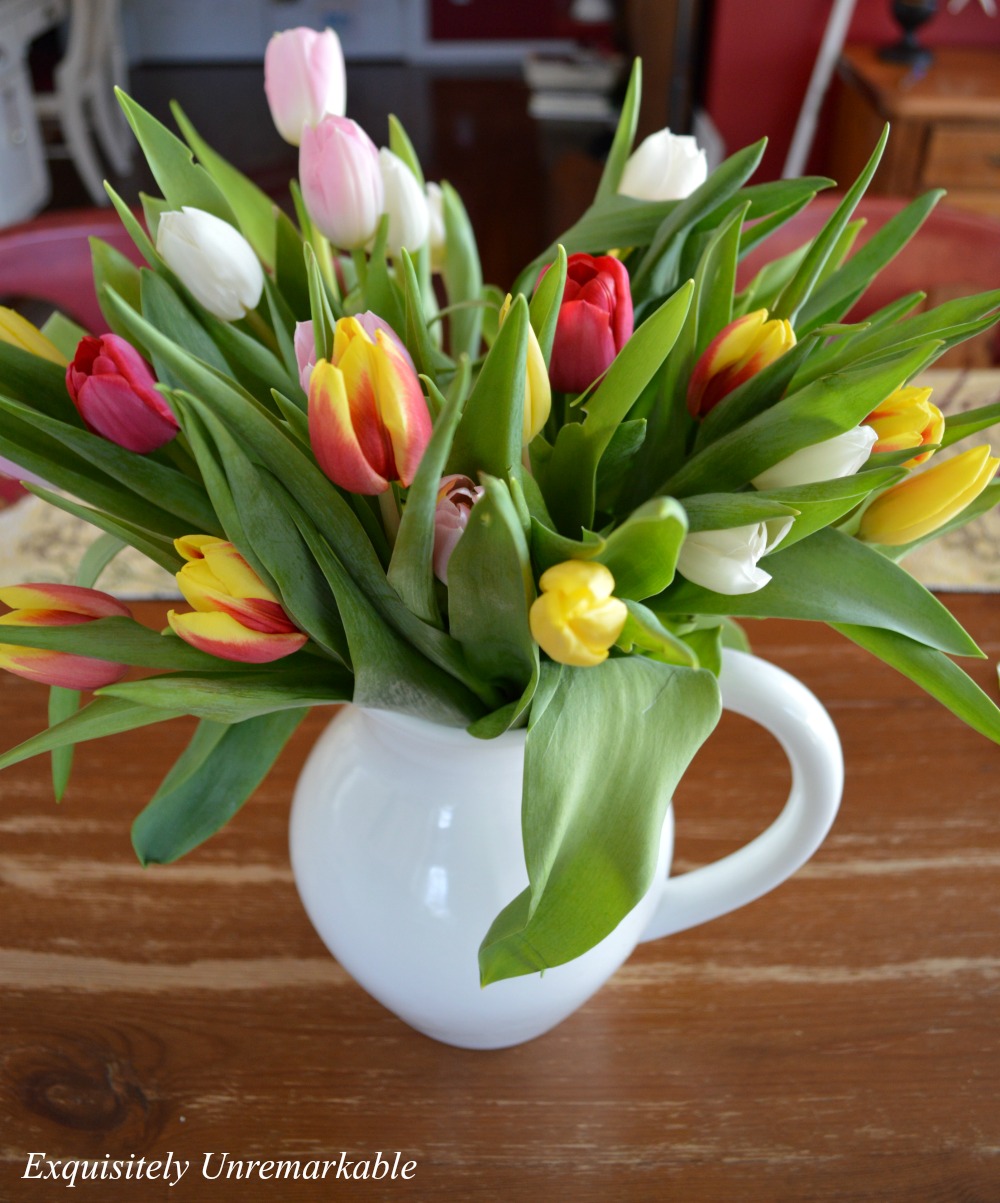 White Pitcher Full of Multicolored Tulips