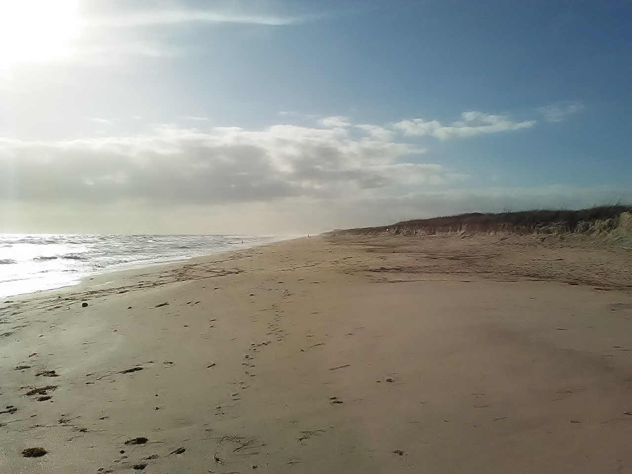 The Treasure Beaches Report Direct From Florida's Treasure Coast. 1/27