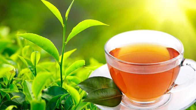 International Tea Day  :  facts about tea in hindi 