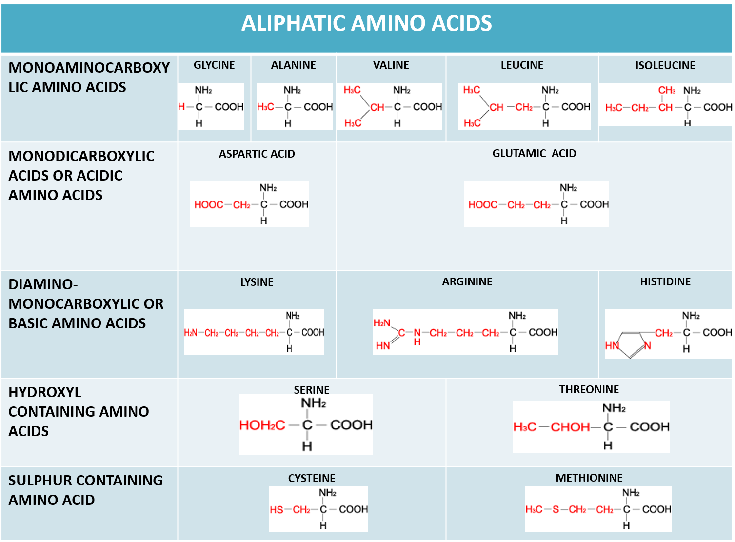 CHAPTER 1 BIOMOLECULES PART 3 NUCLEIC ACID