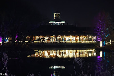 St. Louis Zoo Lights photo by mbgphoto