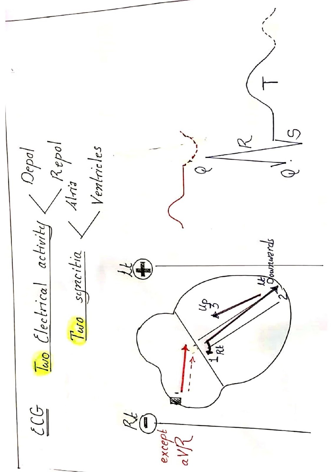 شرح عملي لرسم القلب cardio+diagrams تخطيط القلب في كبسولة | دكتور عمار خليل